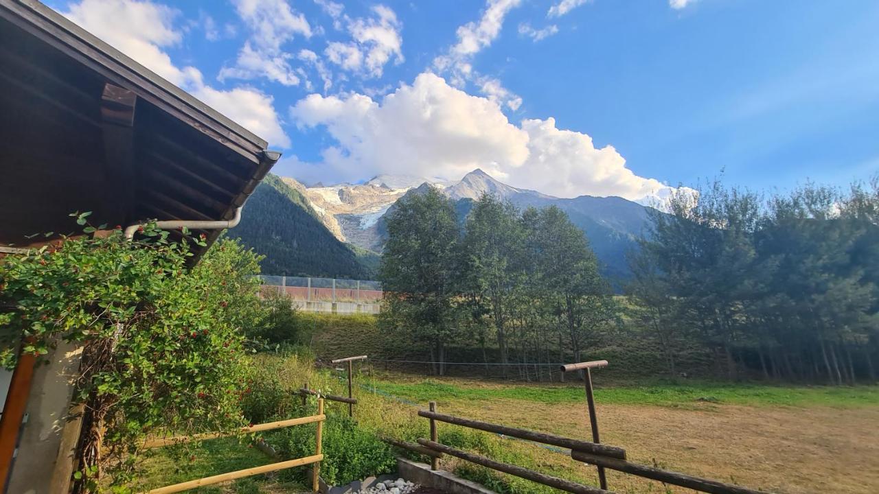 Les Bossons Studio Шамони Экстерьер фото
